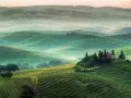 Dolci colline verdi e nebbiolina mattutina creano un'atmosfera magica nei punti panoramici della Val d'Orcia. Una casa colonica con cipressi domina la scena.