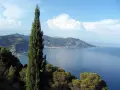 Un cipresso svetta su un panorama mozzafiato: il blu intenso del mare che bagna la Toscana, con borghi aggrappati alle colline.
