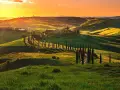 Colline toscane al tramonto, con cipressi che fiancheggiano una strada sinuosa, come una mappa della strada del vino toscana.