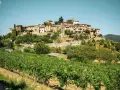 Borgo medievale su una collina, circondato da vigneti e ulivi. Le bandiere arancioni toscana sventolano tra le case di pietra.