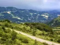 Strada panoramica che sale verso il passo della Futa, tra colline verdi e boschi rigogliosi.