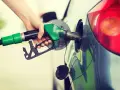 Mano che inserisce la pompa di benzina nel serbatoio. Spero di non aver messo 3 litri di benzina nel diesel!