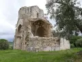 Rovine suggestive a Magliano in Toscana, cosa vedere: un'antica abbazia in pietra con archi crollati e vegetazione rigogliosa.