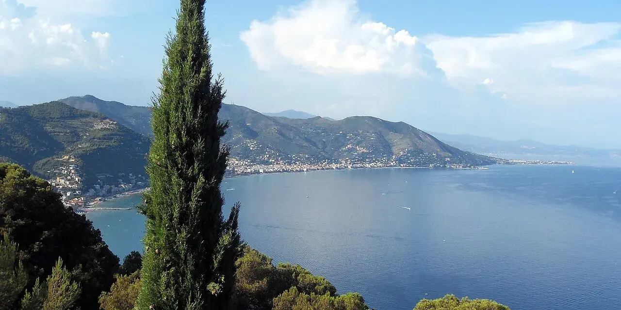 Un cipresso svetta su un panorama mozzafiato: il blu intenso del mare che bagna la Toscana, con borghi aggrappati alle colline.
