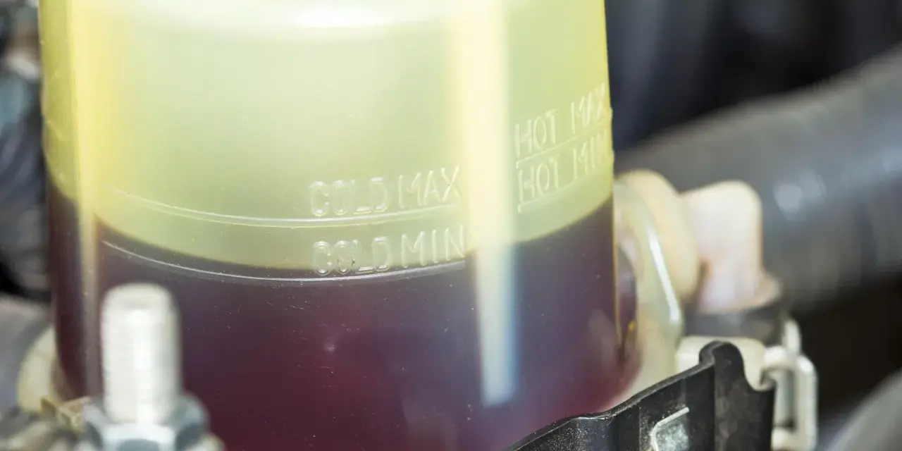 Serbatoio del liquido servosterzo con indicazioni di livello. Un livello basso potrebbe causare rumore servosterzo.