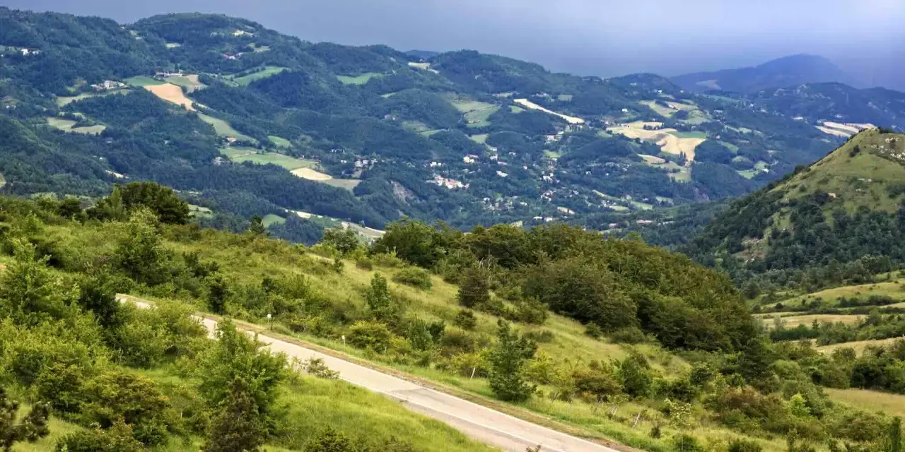 Strada panoramica che sale verso il passo della Futa, tra colline verdi e boschi rigogliosi.