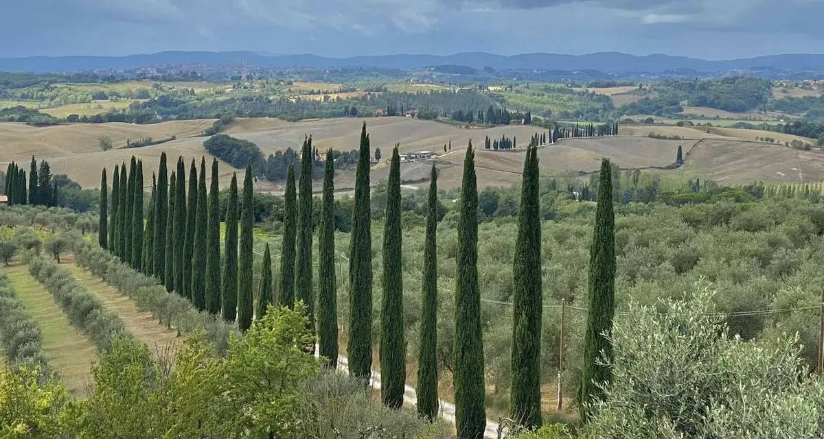 Vigneti e cipressi disegnano la strada verso Castelnuovo Berardenga. Un paesaggio toscano da scoprire.