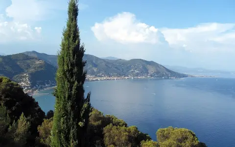 Un cipresso svetta su un panorama mozzafiato: il blu intenso del mare che bagna la Toscana, con borghi aggrappati alle colline.