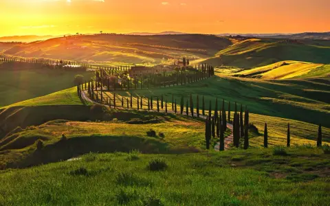 Colline toscane al tramonto, con cipressi che fiancheggiano una strada sinuosa, come una mappa della strada del vino toscana.