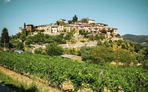 Borgo medievale su una collina, circondato da vigneti e ulivi. Le bandiere arancioni toscana sventolano tra le case di pietra.