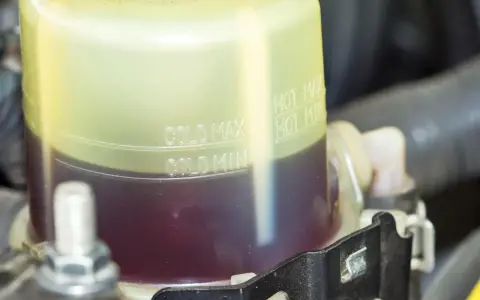 Serbatoio del liquido servosterzo con indicazioni di livello. Un livello basso potrebbe causare rumore servosterzo.