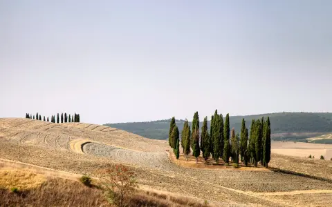 I cipressi di San Quirico d'Orcia si ergono maestosi su dolci colline toscane, un paesaggio iconico.