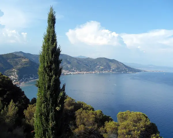 Un cipresso svetta su un panorama mozzafiato: il blu intenso del mare che bagna la Toscana, con borghi aggrappati alle colline.
