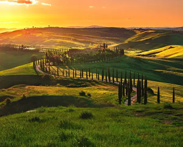 Colline toscane al tramonto, con cipressi che fiancheggiano una strada sinuosa, come una mappa della strada del vino toscana.