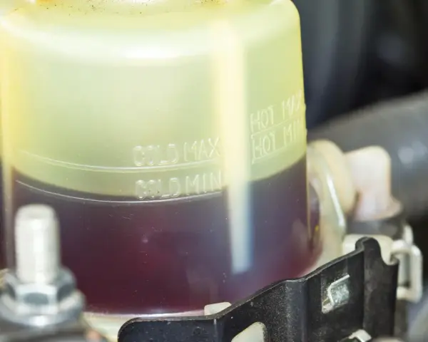 Serbatoio del liquido servosterzo con indicazioni di livello. Un livello basso potrebbe causare rumore servosterzo.