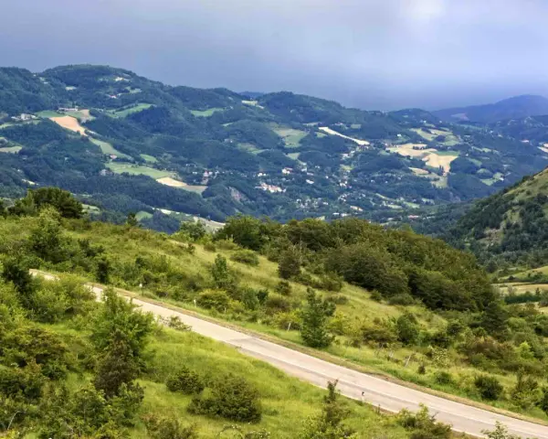 Strada panoramica che sale verso il passo della Futa, tra colline verdi e boschi rigogliosi.