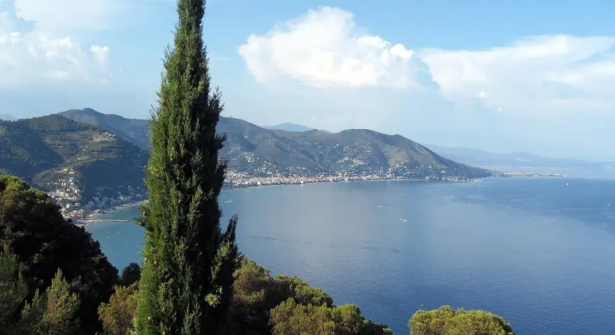 Un cipresso svetta su un panorama mozzafiato: il blu intenso del mare che bagna la Toscana, con borghi aggrappati alle colline.