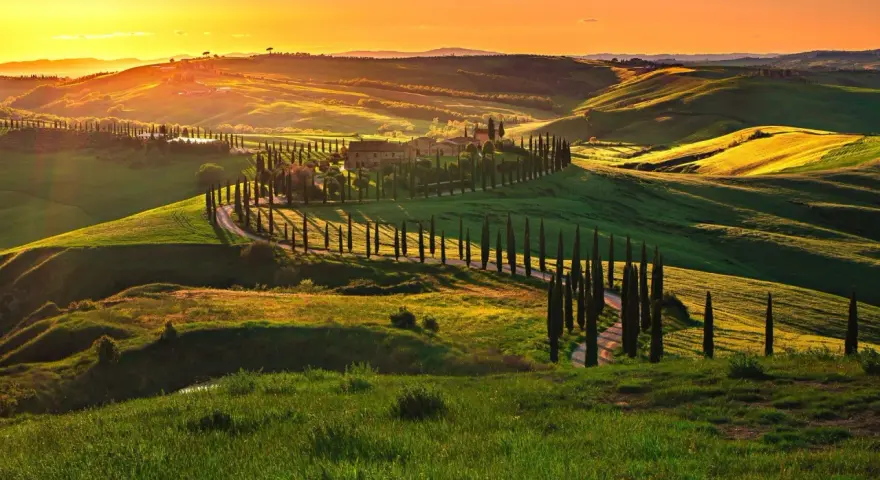 Colline toscane al tramonto, con cipressi che fiancheggiano una strada sinuosa, come una mappa della strada del vino toscana.