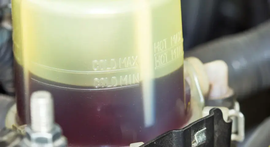 Serbatoio del liquido servosterzo con indicazioni di livello. Un livello basso potrebbe causare rumore servosterzo.