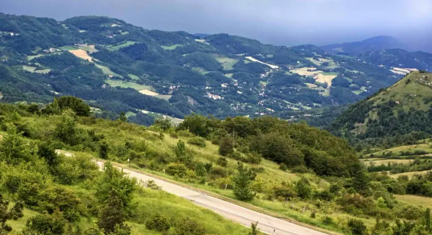 Strada panoramica che sale verso il passo della Futa, tra colline verdi e boschi rigogliosi.