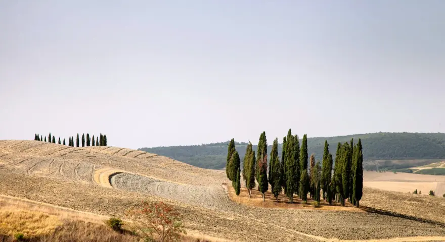 I cipressi di San Quirico d'Orcia si ergono maestosi su dolci colline toscane, un paesaggio iconico.