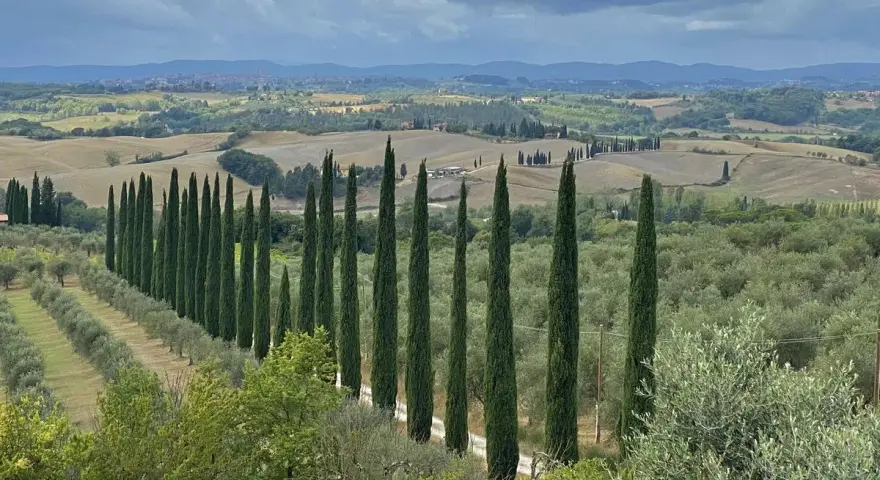 Vigneti e cipressi disegnano la strada verso Castelnuovo Berardenga. Un paesaggio toscano da scoprire.