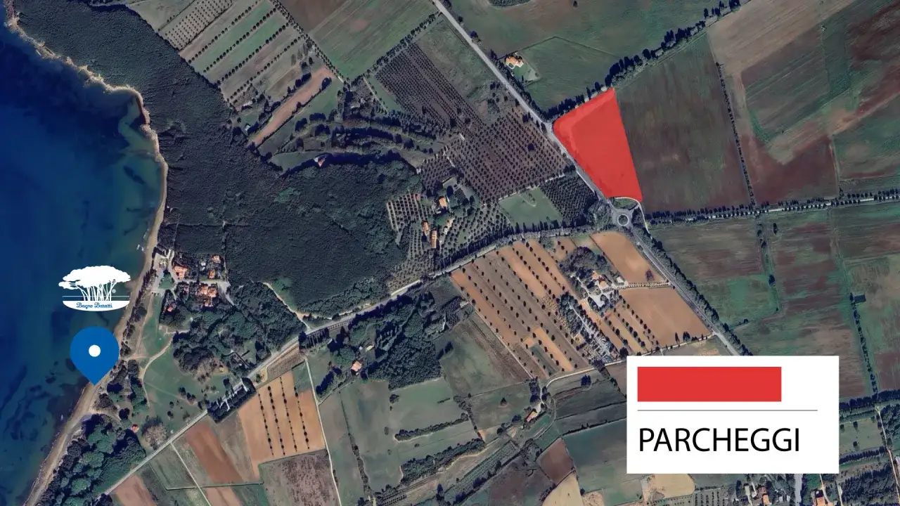 Mappa aerea che mostra la spiaggia di Baratti come arrivare, con indicazione dei parcheggi e un segnaposto blu vicino al mare.