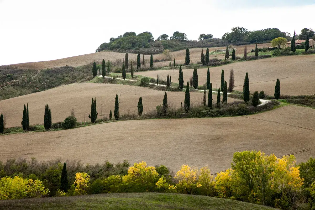Colline toscane con cipressi iconici vicino a San Quirico d'Orcia. Un sentiero serpeggia tra campi arati e alberi verdi.