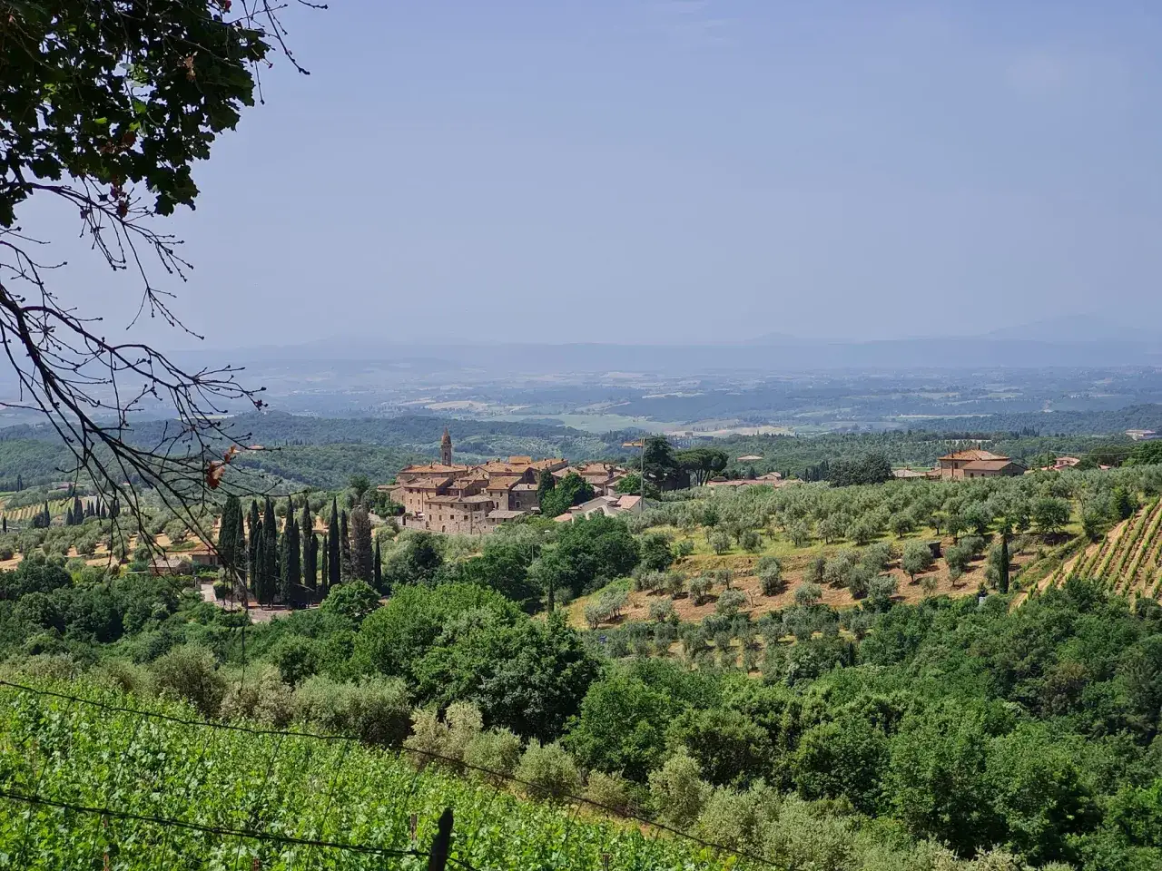 Panoramica di Castelnuovo Berardenga, un borgo toscano tra uliveti e vigneti. Cosa vedere in questa terra di sapori e paesaggi incantevoli.