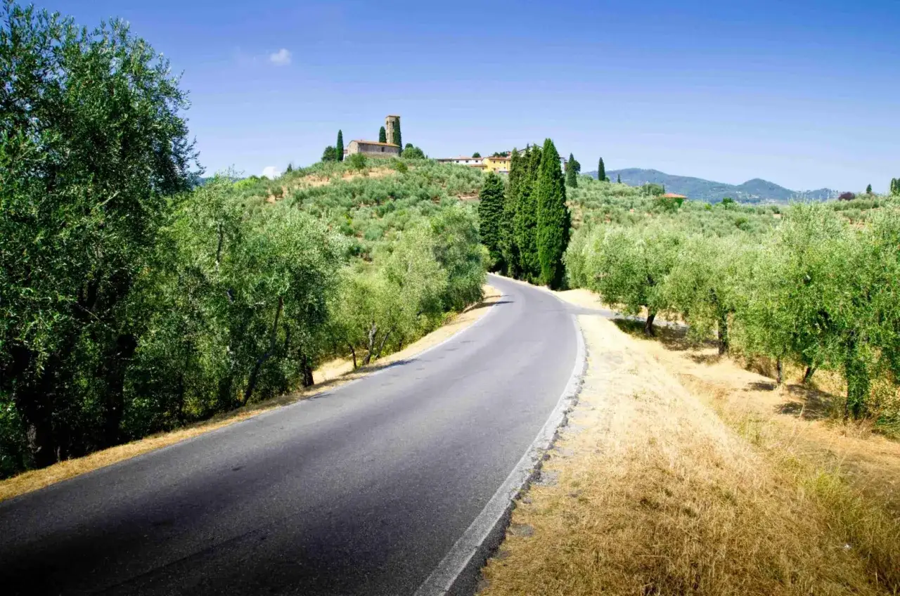 Strada del vino toscana mappa: curva panoramica tra ulivi secolari verso un borgo collinare.